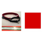 13GHC16REDSS